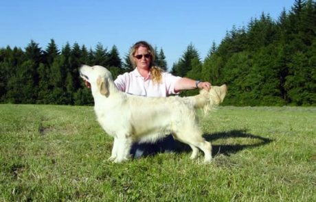 Colette de Vinck, éleveuse de Golden Retrievers (Noroy du Plessy)