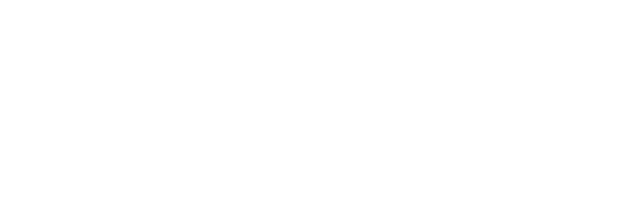 Noroy du Plessy Logo