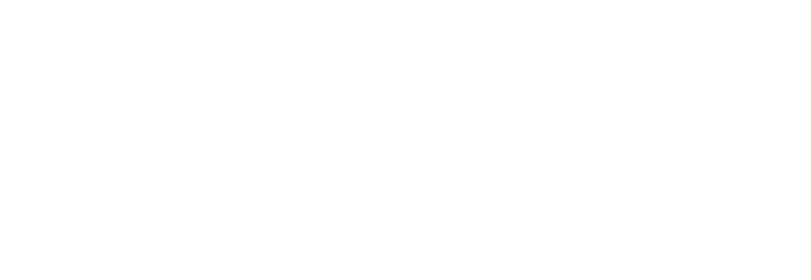 Noroy du Plessy Logo